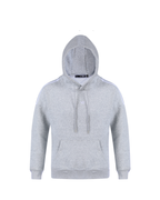 HOODIE FSA065 GRIS