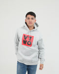 HOODIE FSA063 GRIS