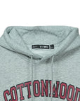 HOODIE FMSA013 GRIS