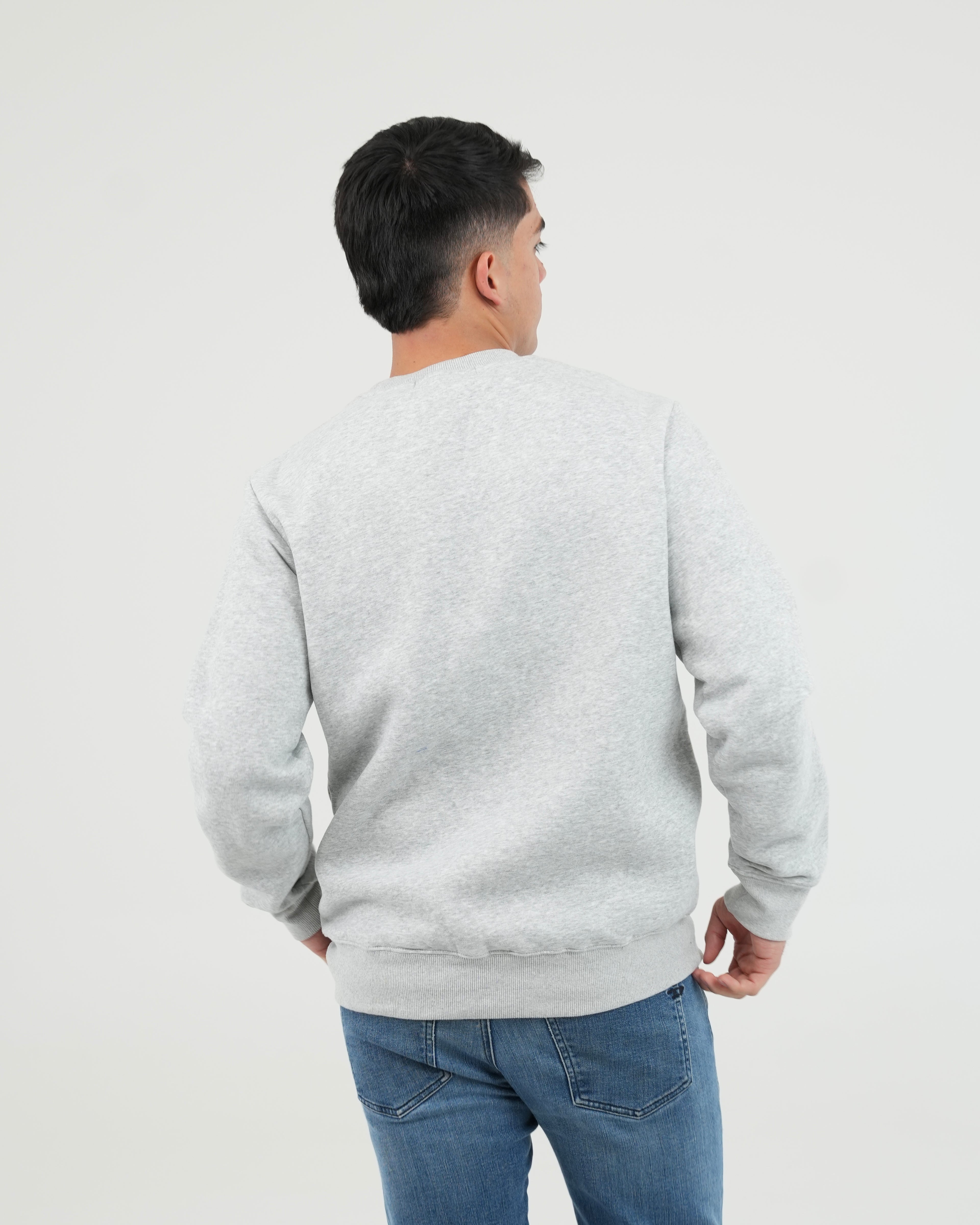 BUZO FSA041 GRIS